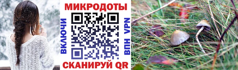 Галлюциногенные грибы Psilocybe Чехов