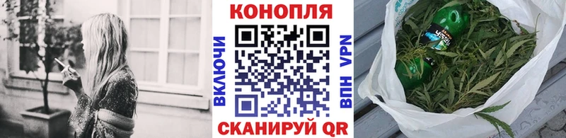 Купить закладки  Чехов  Каннабис индика 